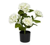 HYDRANGEA - Plante artificielle Vert/Blanc