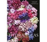 Hydrangeas: Beautiful varieties for home and garden
