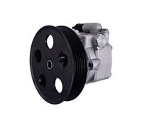 Hydraulique Pompe Direction Système 125 Barre (8TL 359 003-111) OEM Hella
