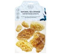 Hydrea London Kit d'éponges naturelles pour peinture d'artistes - Texture fine à large - Ensemble d'éponges de mer pour art et artisanat, peinture, céramique, poterie, décoration, éponge, beaux-arts