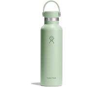 Hydro Flask 21 OZ Bouteille Isotherme Standard Aloe