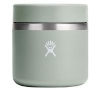 Hydro Flask INSULATED FOOD JAR 20 oz RF20 374 AGAVE Vert