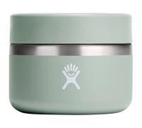 Hydro Flask - Insulated Food Jar - Conservation de la nourriture - 591 ml - agave ii