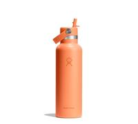 Hydro Flask - Standard Flex Straw Cap 621 ml (21 oz) Bottle - Acier Inoxydable, Étanche, Compatible Porte-Gobelet - Isotherme Froid 24 h - Nectar