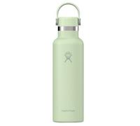Hydro Flask Standard Mouth 21 oz S21CSX 338 Aloe Vert