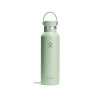 HYDRO FLASK - Standard Mouth Gourde Isotherme 621 ml (21 oz) - Bouteille Inox à Isolation Sous Vide - Bouchon Antifuite et Revêtement par Poudre - Aloe