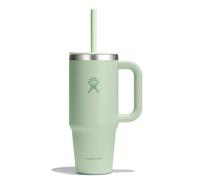 Hydro Flask - Travel Tumbler 709ml (24oz) avec couvercle à paille pressé refermable - Acier inoxydable - Isolation sous vide à double paroi - Couvercle résistant aux éclaboussures - Aloe