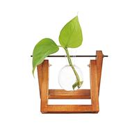 Hydro Vase en verre Lilly avec support en bois Vase sur pied