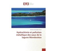 Hydrochimie et pollution métallique des eaux de la lagune Mondoukou - Abraham Christopher Gouin - Universitaires Europeennes - broché - Livre