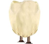 Hydrogarden Housse hivernage pour Plantes, Housse hivernage pour Plantes, Housse d'hivernage Non tissée 80 g/m² Protection Contre Le Gel des Plantes en Palmier et Olivier (250x360cm)