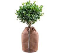 Hydrogarden Housses d’hivernage pour Plantes en Pot, 70x65cm Housses hivernage, Housse Hivernage Plante, Housse d’Hivernage, Brun