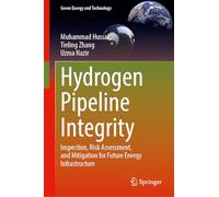 Hydrogen Pipeline Integrity: Inspection, Risk Assessment, and Mitigation for Future Energy Infrastructure