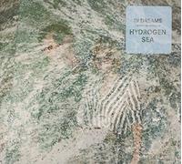 Hydrogen Sea - in Dreams [Import]
