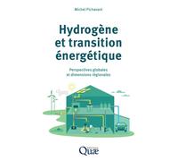 Hydrogène et transition énergétique Perspectives globales et dimensions régionales - Michel Pichavant - Quae - broché - Essai