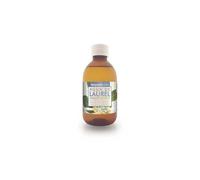 Hydrolat de Laurier Terpénique Bio 100ml