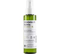 Hydrolat de Sauge Bio - 100 ml