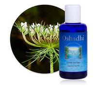 Hydrolat (Eau florale) : Carotte sauvage BIO - Daucus carota - 100 ml