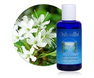 Hydrolat (Eau florale) : Lédon du Groënland BIO - Ledum groenlandicum - 200 ml