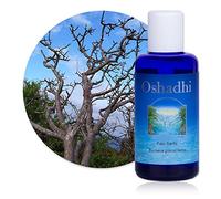 Hydrolat (Eau florale) : Palo Santo (Bois sacré) - Bursera graveolens - 500 ml