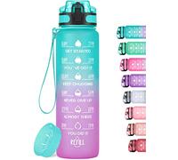 HydroPal Gourde Sport 1 Litre, Bouteille d'eau de motivation avec Marqueur de Temps, Gourde Filtrante & Bouteille pour Adulte sans BPA pour Sport, Gym, Bureau, Yoga (Vert pâle et violet clair)
