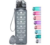 HydroPal Gourde Sport 1 Litre, Bouteille d'eau de motivation avec Marqueur de Temps, Gourde Filtrante & Bouteille pour Adulte sans BPA pour Sport, Gym, Bureau, Yoga (Gris)