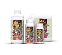 Hydropassion - Master Xtra Roots - 250ml - Activateur racinaire