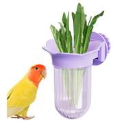Hydroponic Parrot Feeder With Veggie Holder | ABS PP Bird Cage Fruit Stand | Fresh Sprouts Watering Distributeur | Décoratif petit bol alimentaire pour animaux de compagnie