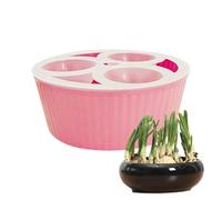 Hydroponic Planter With 3 Holes - Hyacinth Bulb Vase For Indoor Gardening | Transparent Flower Bulb Container For Windowsill Apartment Office Kitchen Living Room Bedroom Gardeners Teachers Seniors Beg