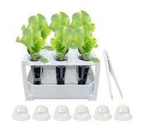 Hydroponics Growing System,13.4x9x9cm Visible Non Slip Multi-Hole Container,Easy Monitoring Design Indoor Plant Growing System - For Vegetable Plant Office Balcony Garden Patio Watering Seedling