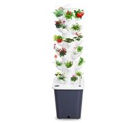 Hydroponics Growing System Kit - Tour Hydroponique Verticale 30 Plantes pour Légumes, Herbes, Fraises - Hydroponic Tower Intérieur Extérieur Aeroponic Tower pour Balcon, Jardinage et Culture Maison