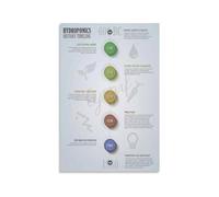 Hydroponics History Timeline Infographic Poster, Canvas Wall Art for Living Room Bedroom Decor(Framed,16x24inch(40x60cm))