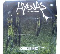 Hyenas In The Desert - Concubinez
