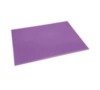 Hygiplas Planche à découper haute densité Violet 600 x 450 x 12 mm