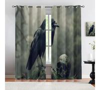HYGIUID Lot de 2 panneaux de rideaux de fenêtre mystique horreur - Corbeau hanté et cranium, surréalisme gothique pour fenêtres, salon, chambre à coucher, étude, 77 x 160 cm
