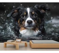 HYGIUID Papier peint mural chien de berger - Papier peint mural animal commercial - Poster personnalisé - Poster mural panoramique massif (non autocollant)