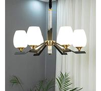 HYHJYMG Minimaliste Moderne Light Plafond pour Salon Duplex House Chandelier Multi Lights Plafond Plafond Créativité Créativité Chandelier Grand Pendant