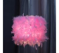 HYHJYMG Petite Pendentif en Plumes, Lustre de Chambre à Coucher Plume Moderne Romantique, Arme de Plume à la Lampe décorative Plafond pour Chambre à Coucher pour la Chambre à la Maison