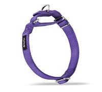 Hyhug Collier Chien: Réglable Nylon Solide Collier Martingala pour Chien (Ultra-Violet,M)