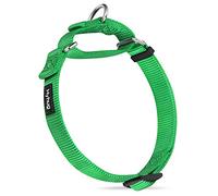 Hyhug Collier Chien: Réglable Nylon Solide Collier Martingala pour Chien (Vert Lime,M)