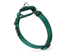Hyhug Collier de Chien Martingale en Nylon très résistant Anti-évasion pour Chiens de Petite Taille, garçons et Filles - Usage Quotidien de la Marche. (Moyen Modèle M:, Vert foncé)