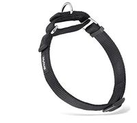 Hyhug Collier de Chien Martingale en Nylon très résistant Anti-évasion pour Petits garçons et Filles - Usage Quotidien