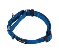 Hyhug Collier Petit Chien: Réglable Nylon Solide Collier martingala pour Chien (Bleu,S)