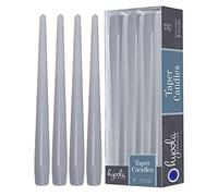 Hyoola Bougies Coniques Hautes - Bougies Haute Coniques Non Parfumées de 250 mm, Gris Argenté, Durée de Combustion de 8 Heures - Paquet de 12 Bougies Inodores