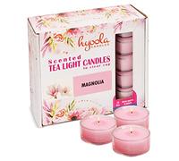 Hyoola Bougies Parfumées à Chauffe-plat - Verre Transparent - Bougies Chauffe Plats Parfumées au Magnolia - Durée de Combustion de 6 Heures - Lot de 15 - Fabrication Européenne