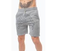 Hype College Short Gris 2X Petit Male
