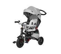 HyperMotion Tricycle Evolutif Enfant 1 à 5 ans (25kg)| Vélo Poussette- Habillage Pluie Roue Pompée Siège Pivotant - Gris