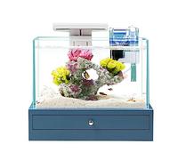 HYQOUKLR Aquarium Aquarium Bureau Petit Aquarium avec Base Décoration de La Maison Bureau Bureau Fish Tank Décorations Écologique Paysage Ornements Fish Bowl