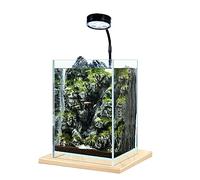 HYQOUKLR Aquarium Aquarium Bureau Petit Aquarium Bricolage écologique Bureau Maison Bureau Aquarium Bureau décoration Poisson Bol