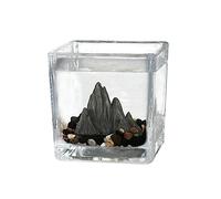 HYQOUKLR Aquarium Petit Aquarium De Bureau Carré Aquarium Écologique Micro Paysage Chambre d'amis Bureau Petits Ornements Tasse À Thé Verre Paysage Grille Fish Tank Fish Bowl(L)