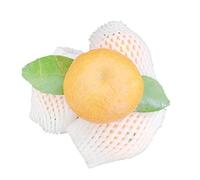 HYQOUKLR Couverture protectrice Anti-Chocs, Lot de 100 Filets en Mousse for Fruits, Protection Antichoc for Pommes et Fraises(12x6cm)